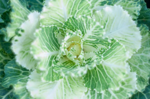 Quels types de sandales à franges privilégier pour un look de plage bohème?